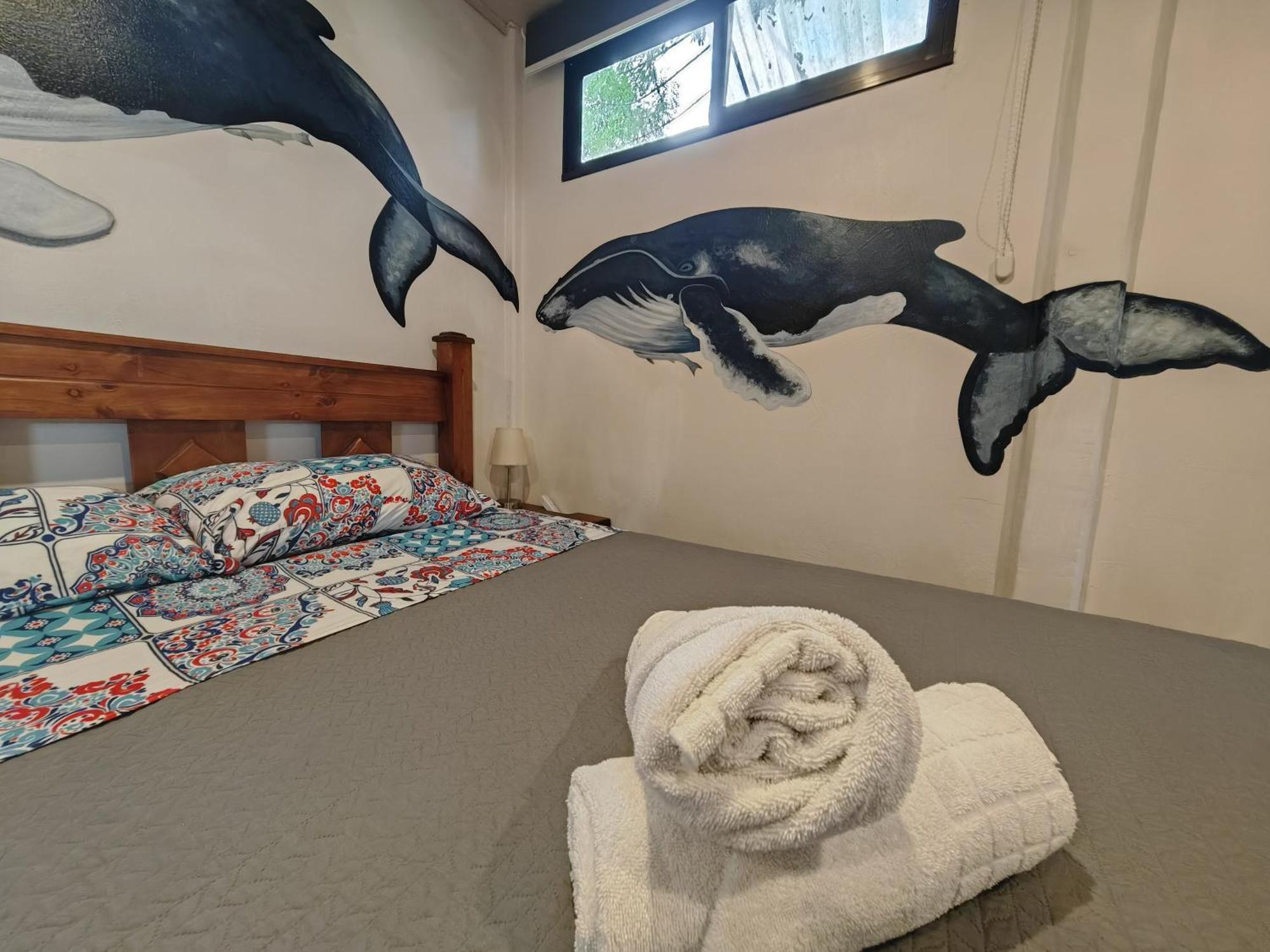 Tucan Hotel  Uvita Habitación foto